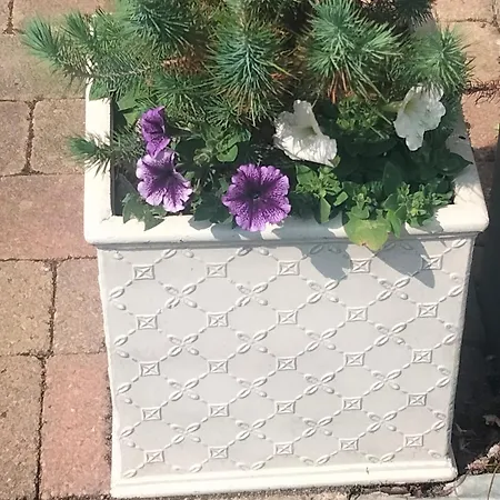 Community Courtyard *